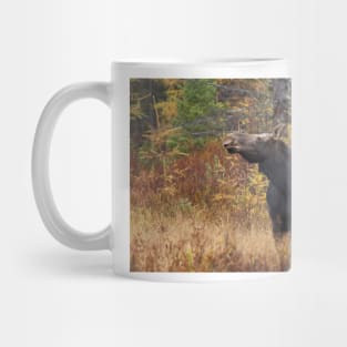 Shy - Canadian Moose - Algonquin Park, Canada Mug